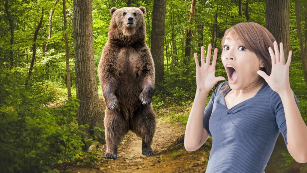A brown bear stands tall in a forest surprising a woman, who has her hands up with a look of shock on her face