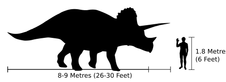 An image comparing the length of a 26-30 feet Triceratops to 6 feet tall human
